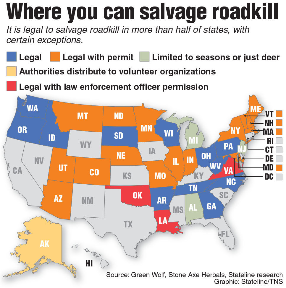 Roadkill laws by state